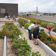 Image for article titled The Systems That Power the Year's Most Sustainable Buildings